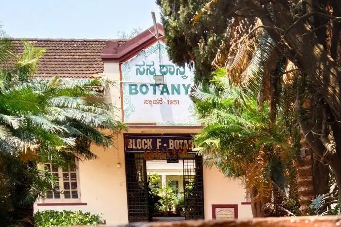 botany -photo